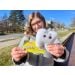 Model holding Tooth plush