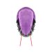 Trilobite plush back