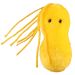Ulcer plush doll