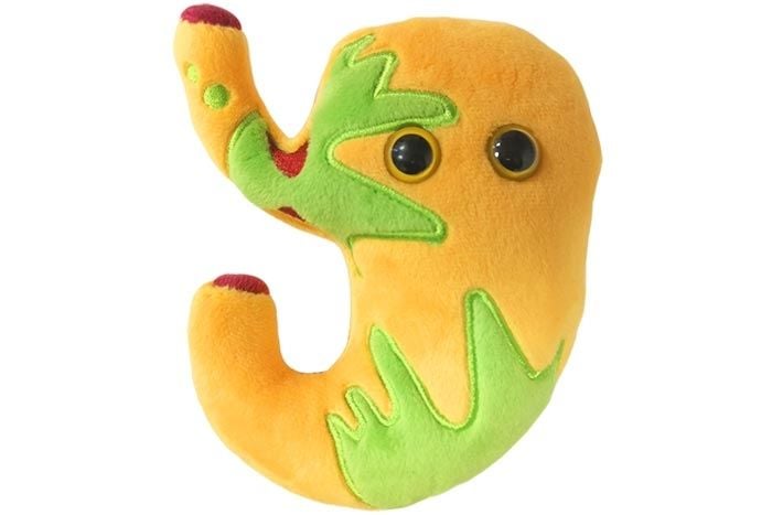 Giant Microbes ORIGINALI reflusso gastrico GIANTMICROBES Officially Licensed 