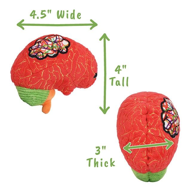 ADHD plush dimensions