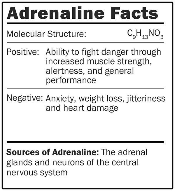 Adrenaline facts