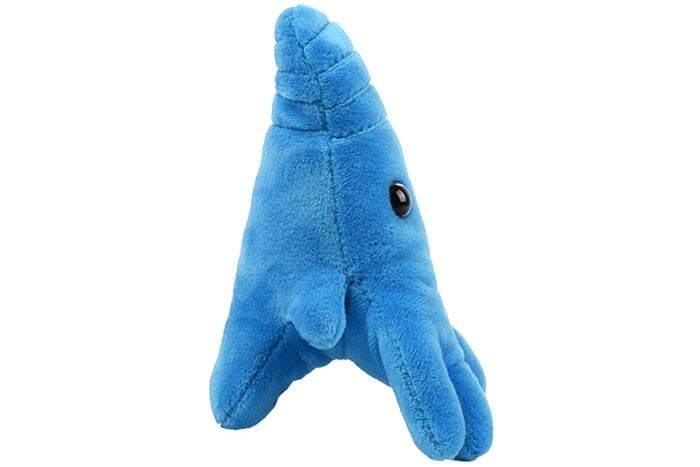 Amoeba plush side