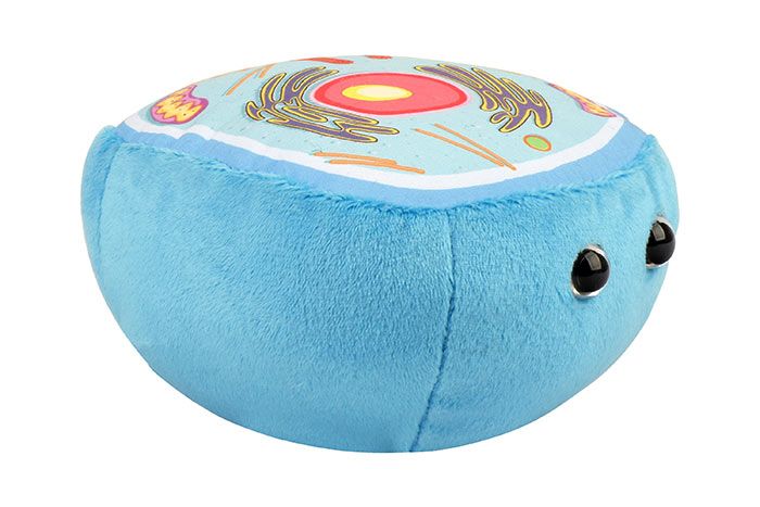 Details about   GIANT MICROBES-ROTIFER-Stuffed Plush Plankton Cilia Wheel Female Water Biology 