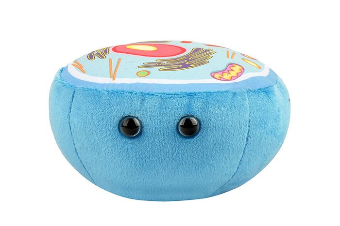 Animal Cell plush front