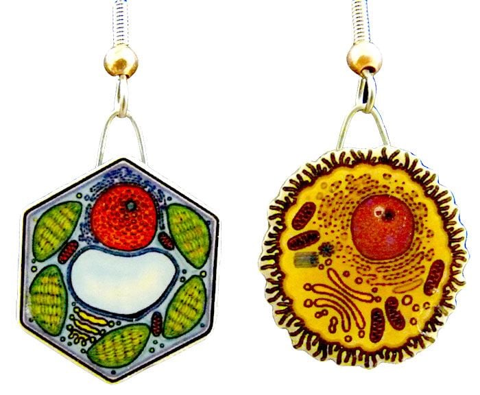 Animal and Plant Cell earrings close