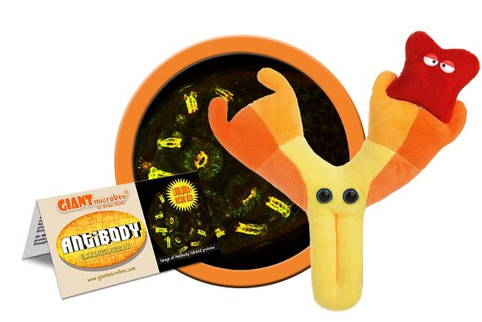 Immunoglobulin Antibody Giant Microbes Plush 