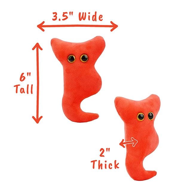 Appendix plush dimensions