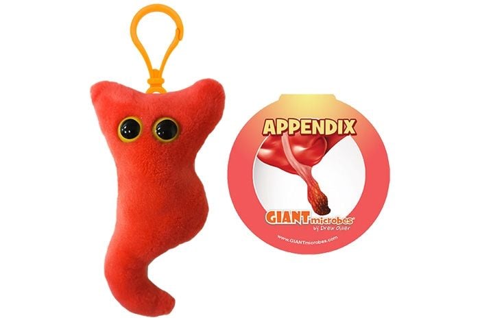 Appendix cluster
