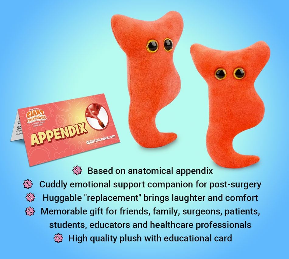 Appendix plush bullet points