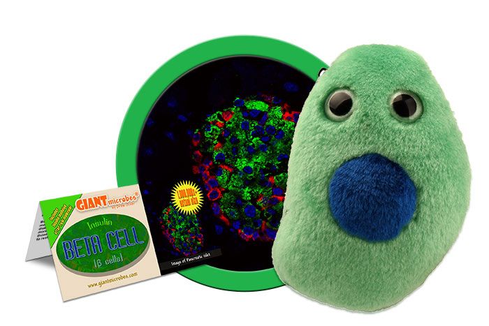 Beta Cell plush cluster