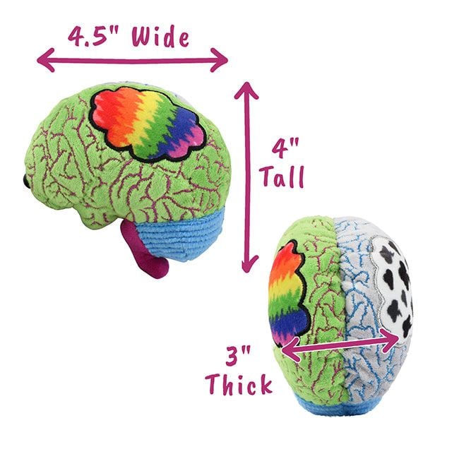 Bipolar plush dimensions