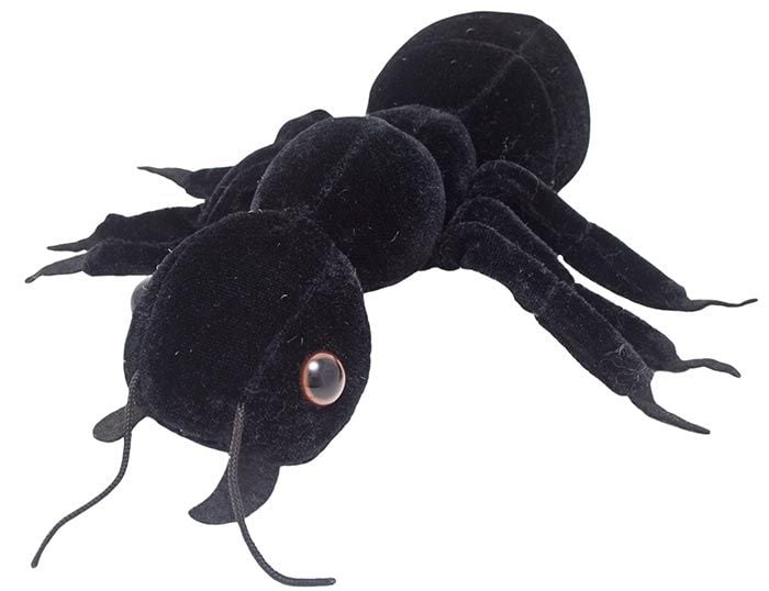 Black Ant plush doll