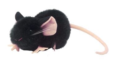 Black Lab Mouse doll