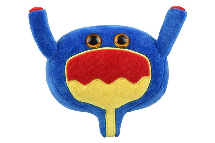 Bladder plush front