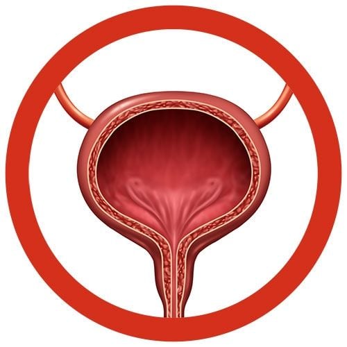 Bladder plush real image
