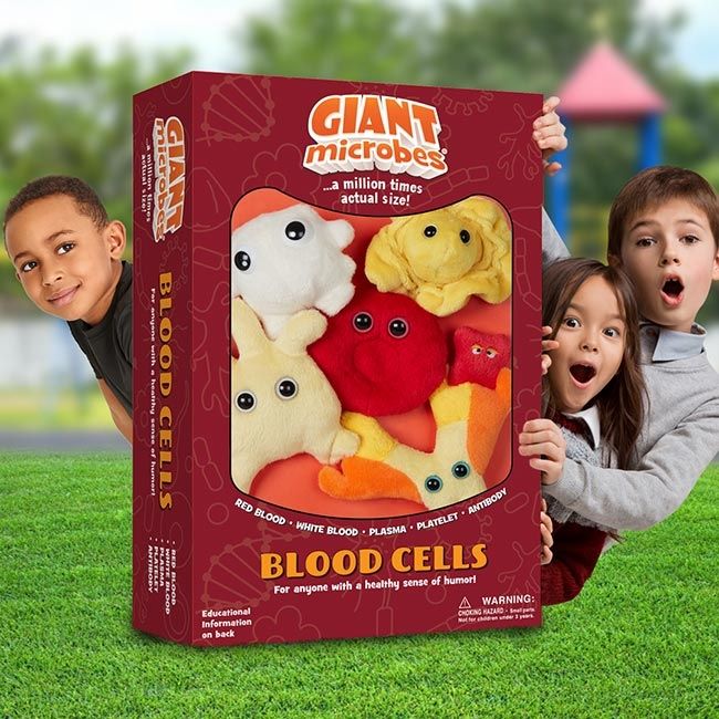 Blood Cells box kids