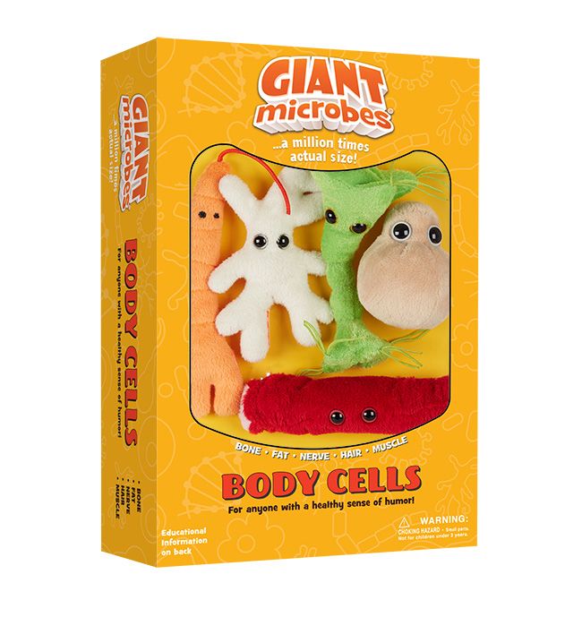 Body Cells box