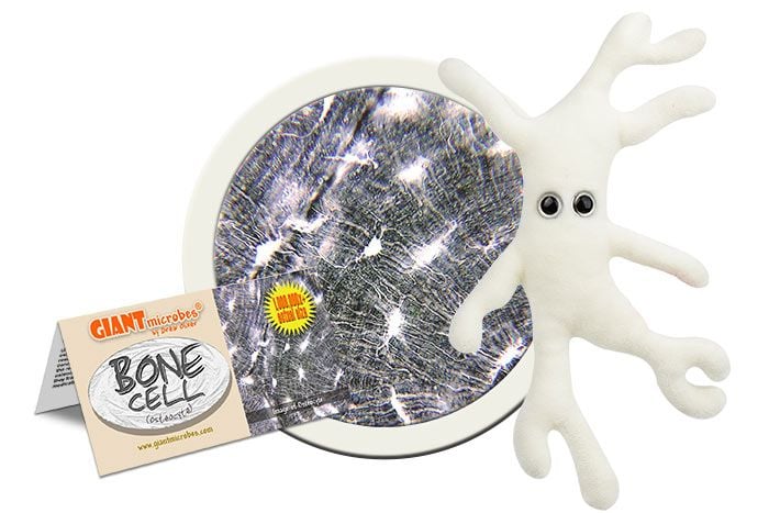 Bone Cell plush cluster