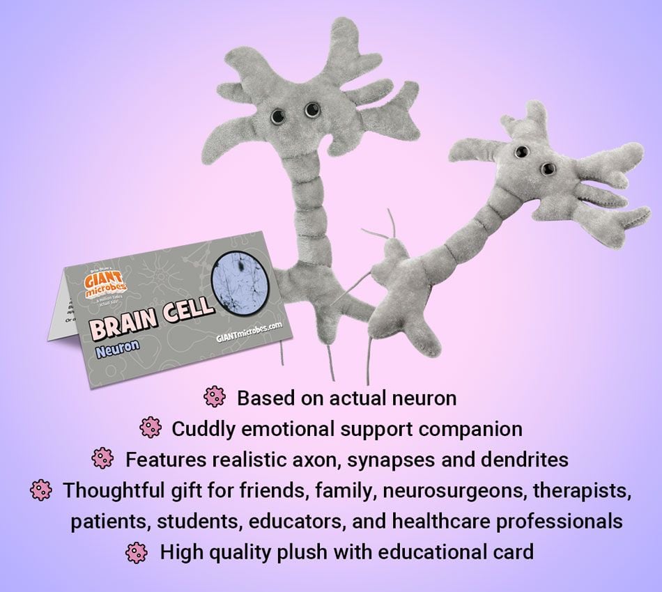 Brain Cell plush bullet points