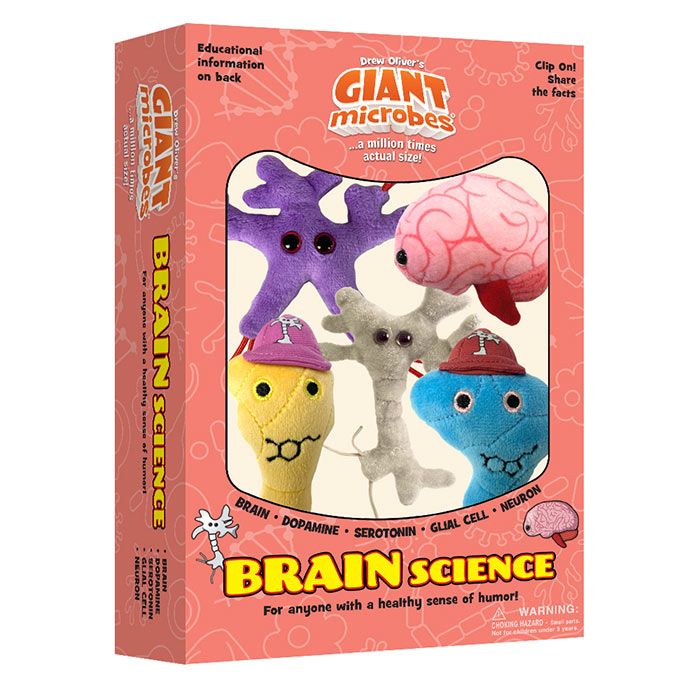 https://www.giantmicrobes.com/us/media/catalog/product/cache/ff90142cc55f9ca12447aeed7184b263/b/r/brain-science-box.jpg