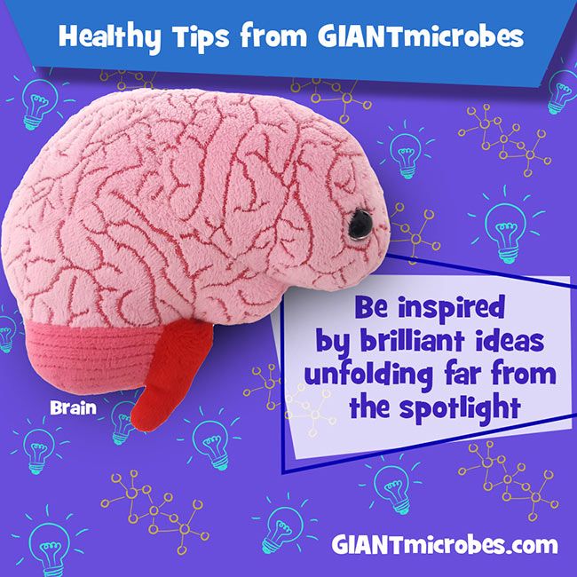 Brain healthy tip