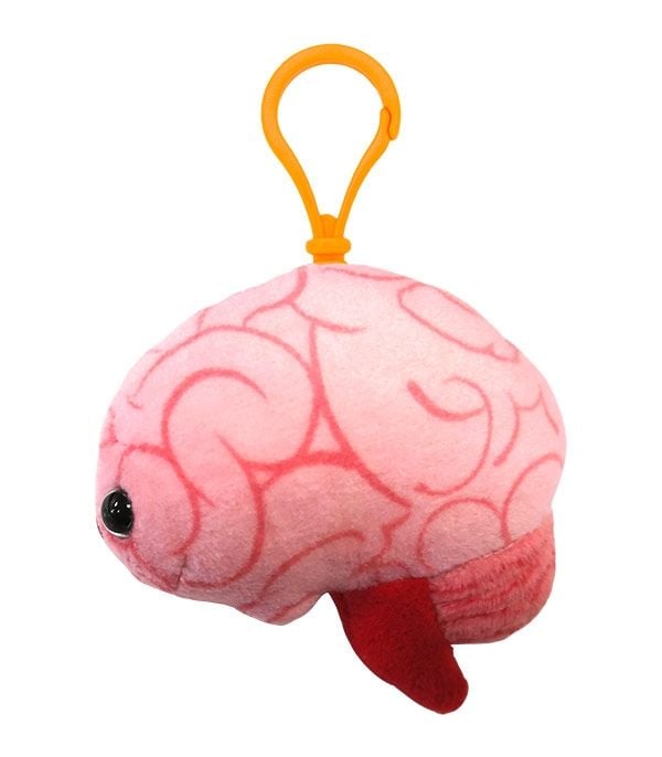 Brain key chain