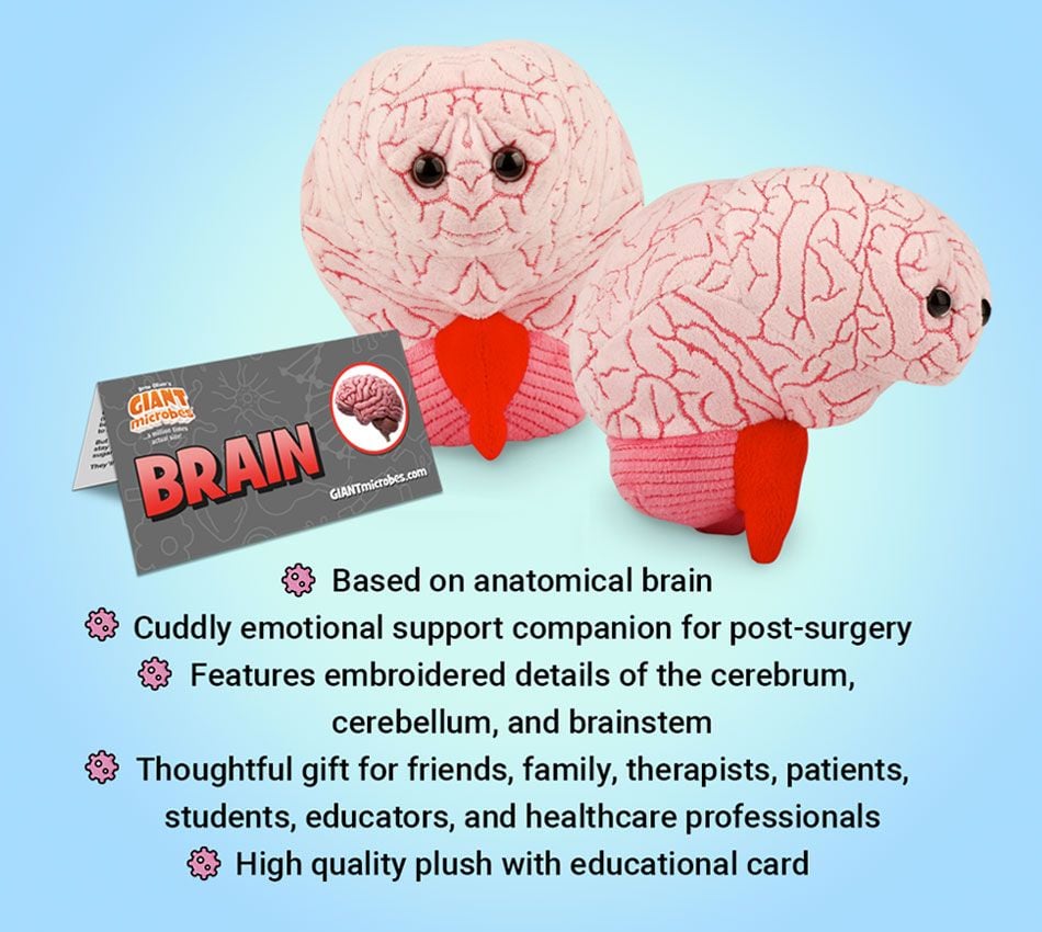 Brain plush bullet points