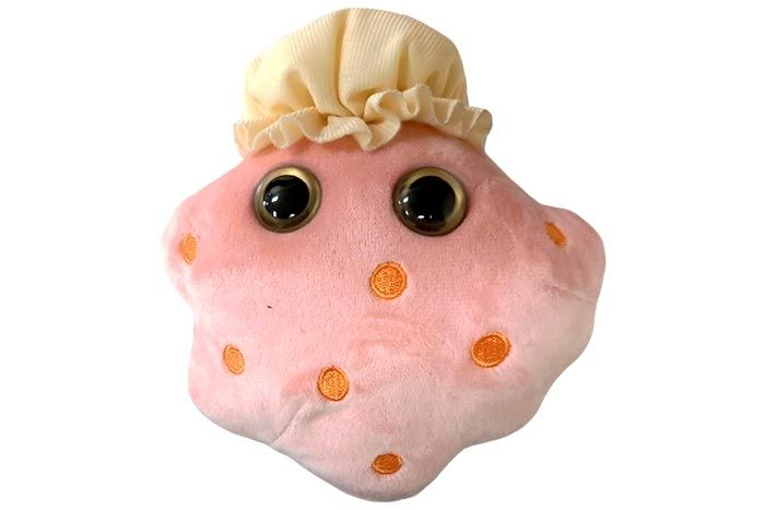 Cells at Work! Macrophage plush doll