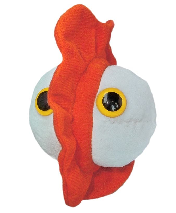 Chickenpox plush