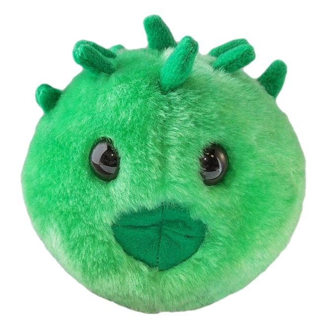 Chlamydia plush