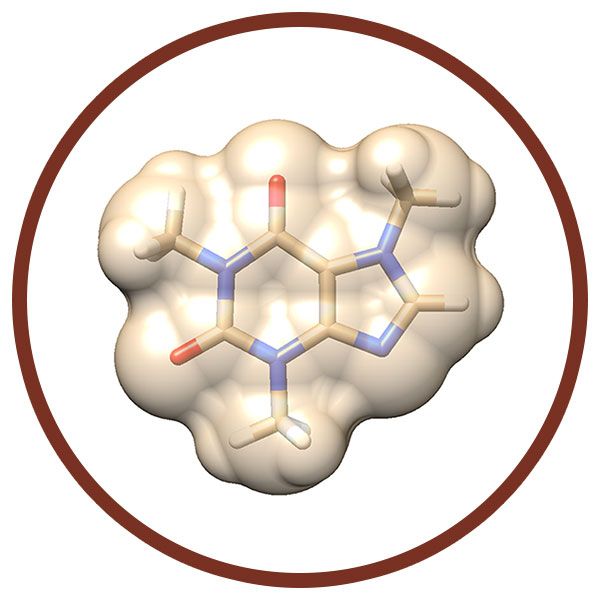 Chocolate molecule