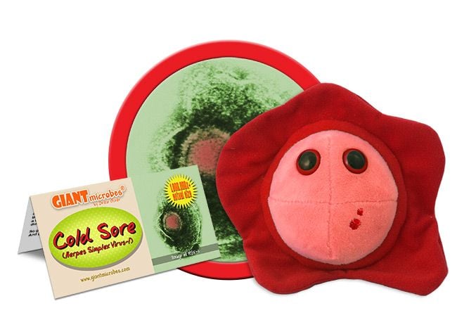 Details about   GIANT MICROBES-HERPES PETRI DISH-Stuffed Plush STD VD Virus Venereal Biology NEW 