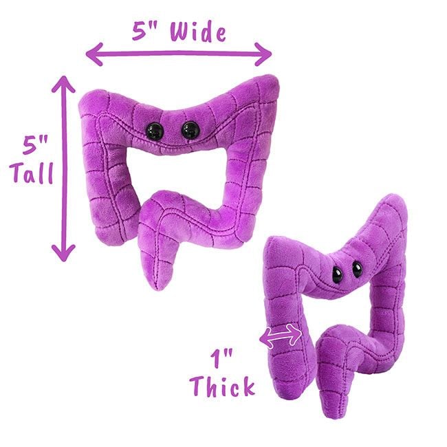 Colon plush dimensions