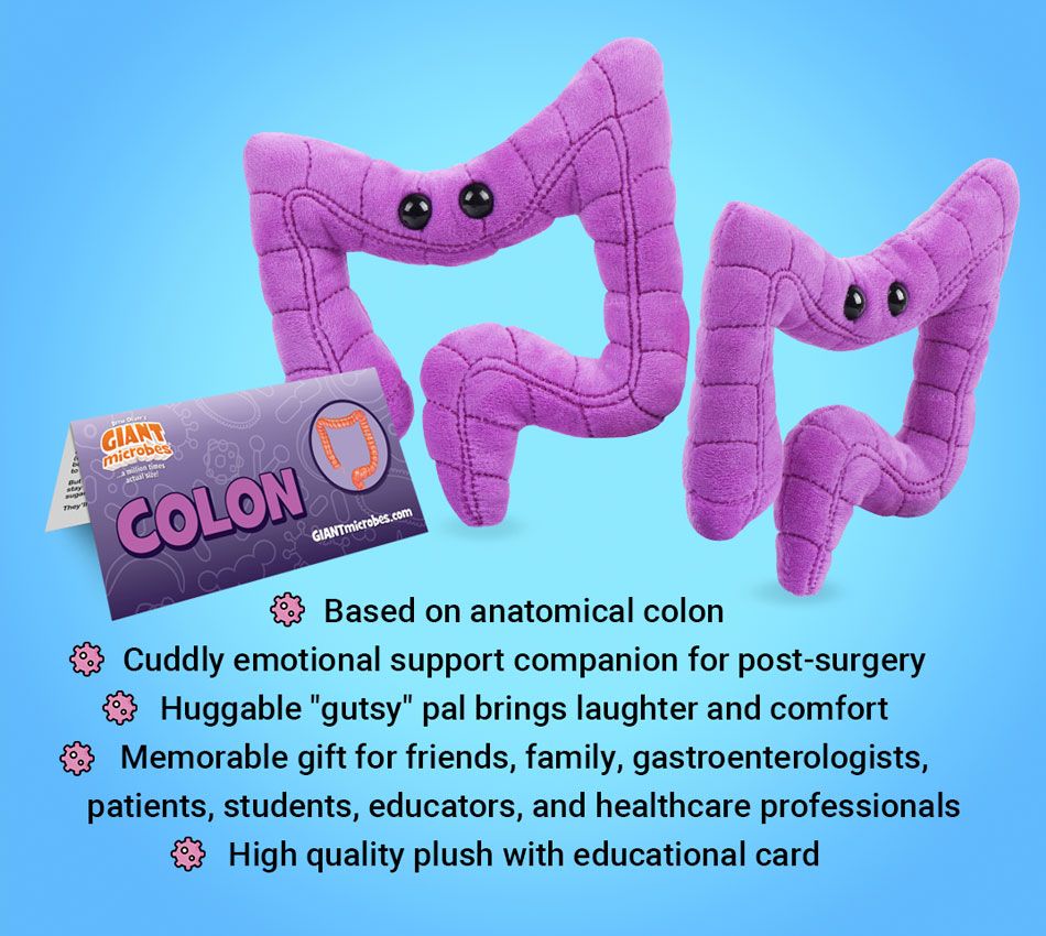 Colon plush bullet points