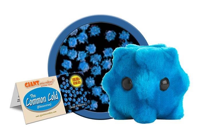 GIANTmicrobes Common Cold (Rhinovirus) plush gift