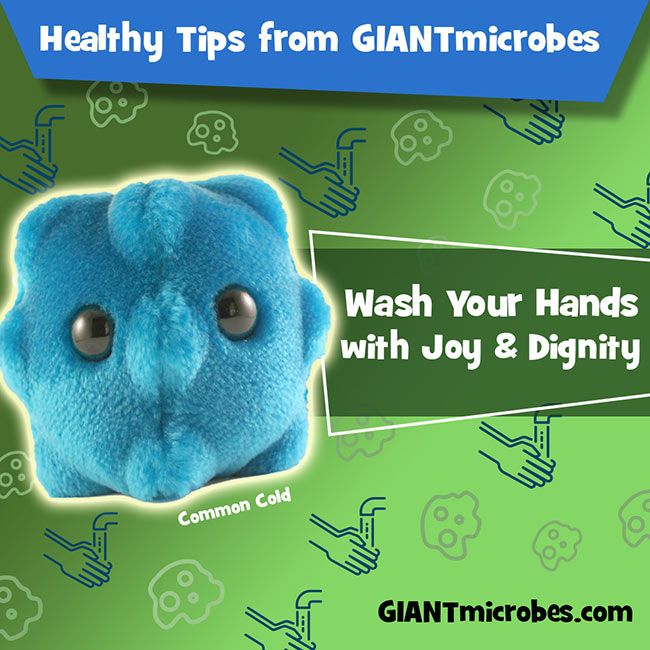 GIANT Microbes-Common Cold 