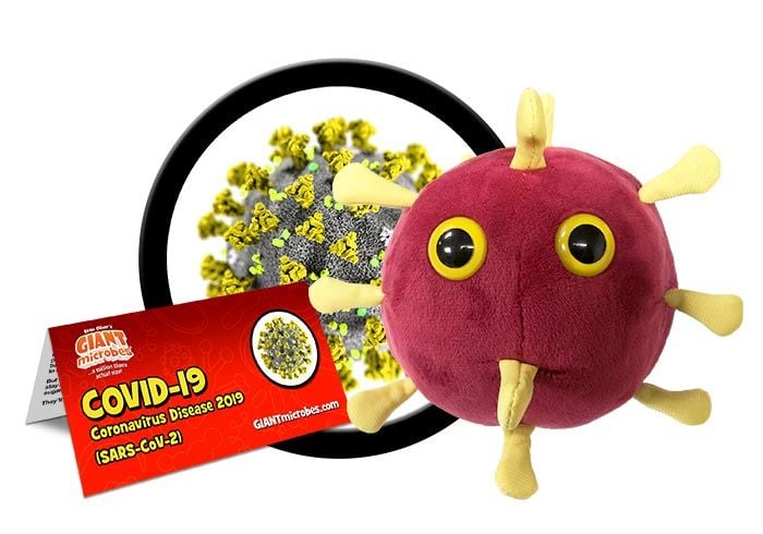 Coronavirus cluster