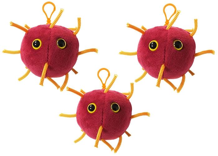 Coronavirus key chain 3-pack