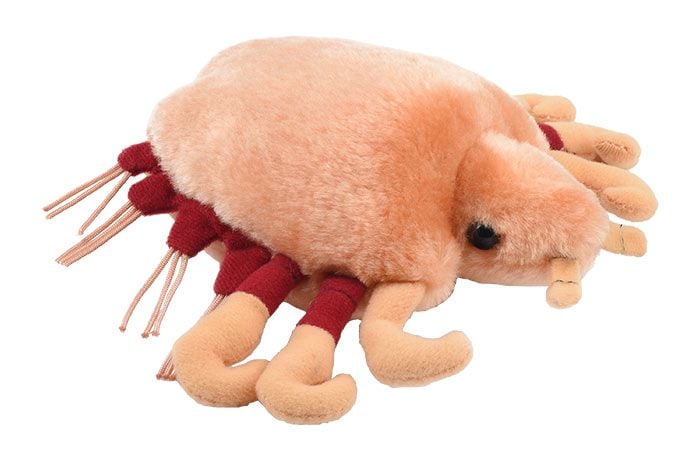 Crab Louse plush