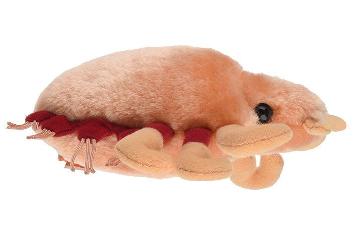 Crab Louse plush side