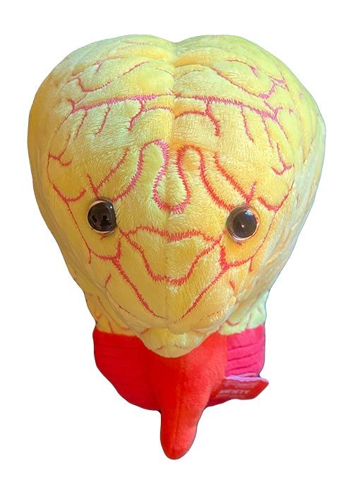 Deluxe Anxiety plush front