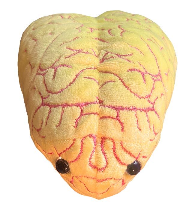 Deluxe Anxiety plush top