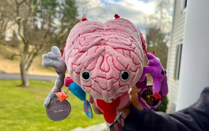 Deluxe Brain IRL front