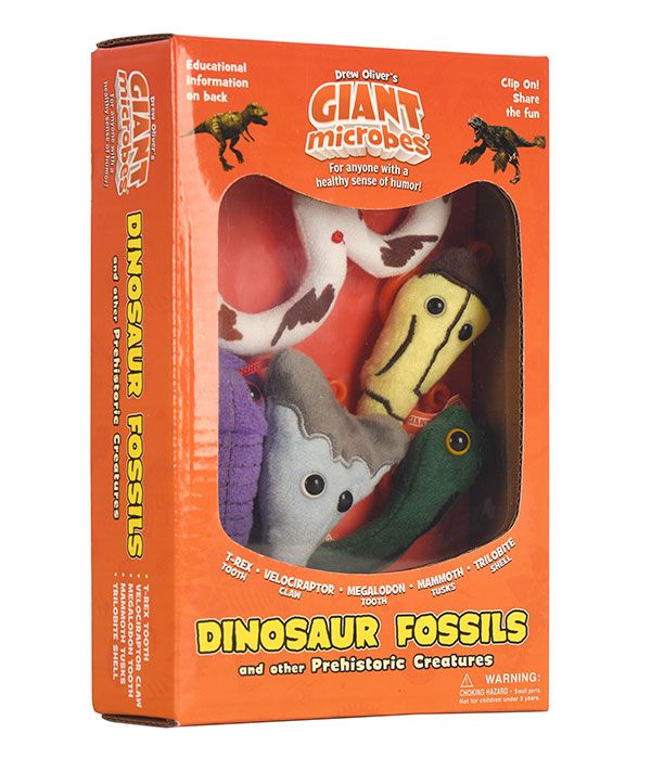 Dinosaur Fossils gift box angle