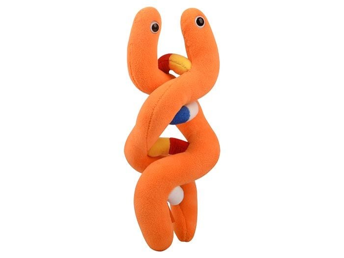 DNA plush angle