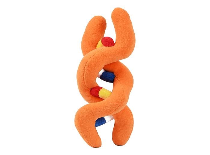 DNA plush back