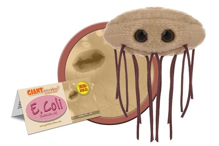 E coli plush toy deals