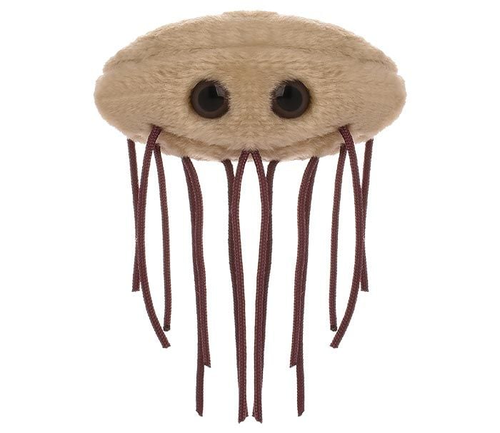 E. coli plush front