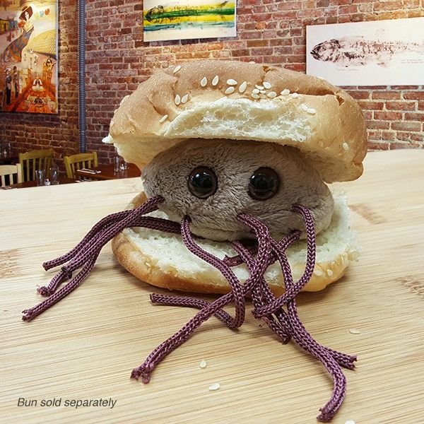 E. coli on bun